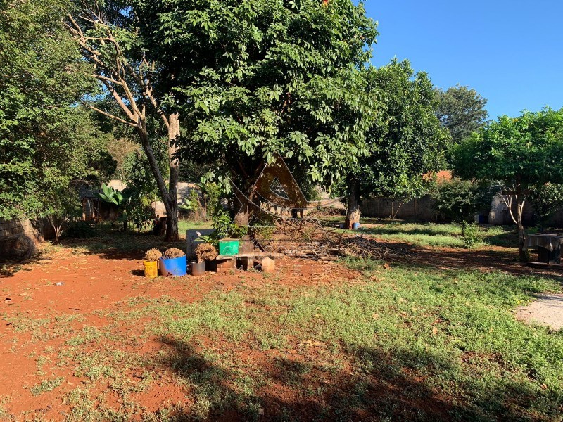 Aliança Imóveis - Imobiliária em Ribeirão Preto - SP - Terreno - Recreio das Acácias - Ribeirão Preto