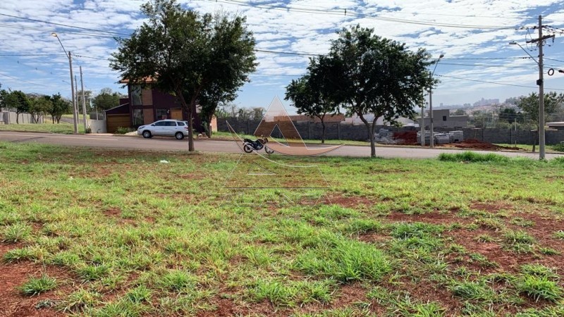 Aliança Imóveis - Imobiliária em Ribeirão Preto - SP - Terreno - Terras de Santa Martha - Ribeirão Preto