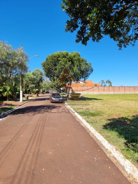 Aliança Imóveis - Imobiliária em Ribeirão Preto - SP - Terreno Condomínio - Jardim Alto das Acácias  - Cravinhos