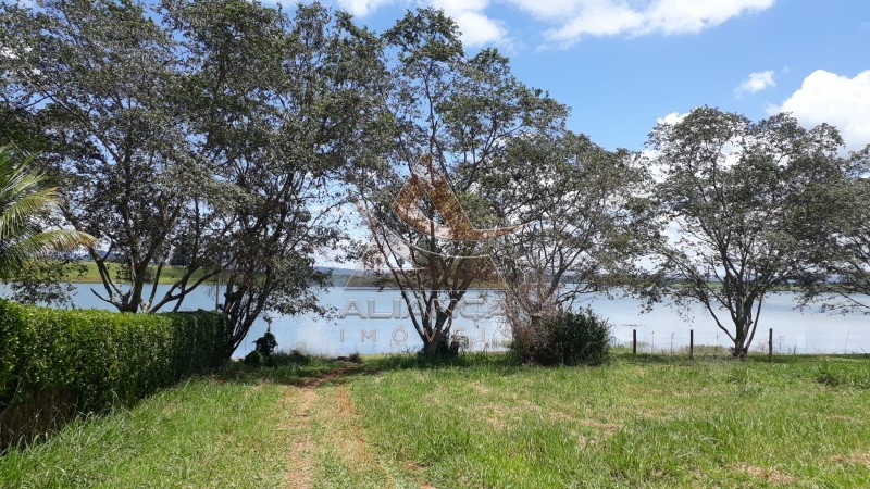 Terreno Condomínio - Delfinópolis  - Delfinópolis 