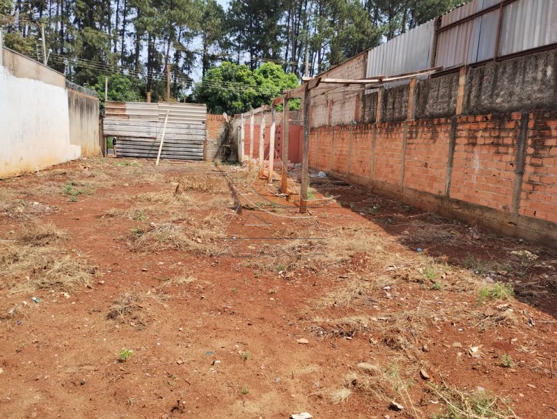 Terreno à venda, 250m² - Foto 3