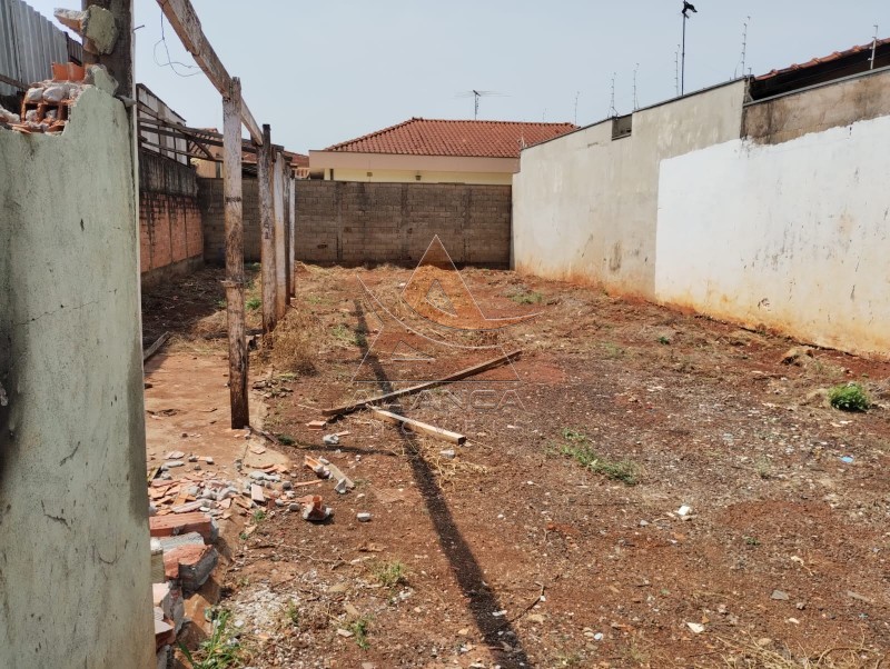 Terreno à venda, 250m² - Foto 2