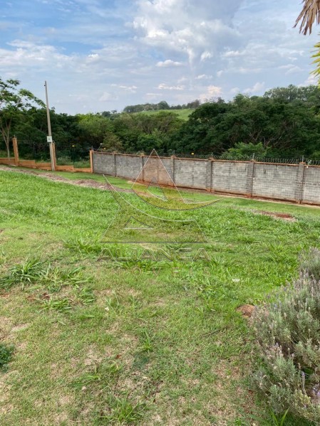 Aliança Imóveis - Imobiliária em Ribeirão Preto - SP - Terreno Condomínio - Alphaville - Ribeirão Preto