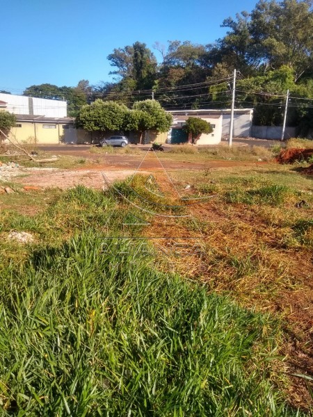 Aliança Imóveis - Imobiliária em Ribeirão Preto - SP - Terreno - Jardim Zara - Ribeirão Preto