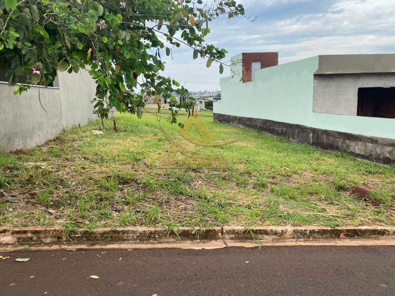 Aliança Imóveis - Imobiliária em Ribeirão Preto - SP - Terreno Condomínio - Reserva San Pedro - Ribeirão Preto