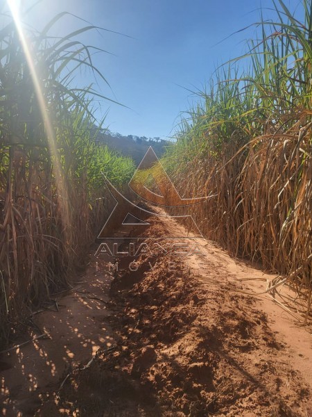 Aliança Imóveis - Imobiliária em Ribeirão Preto - SP - Fazenda  - Zona Rural - Araraquara