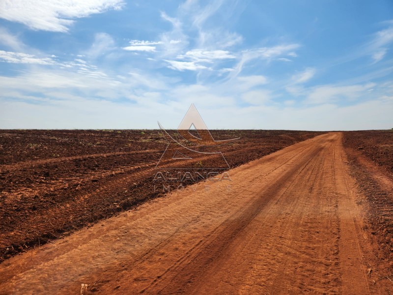 Aliança Imóveis - Imobiliária em Ribeirão Preto - SP - Fazenda  - Zona Rural - Araraquara