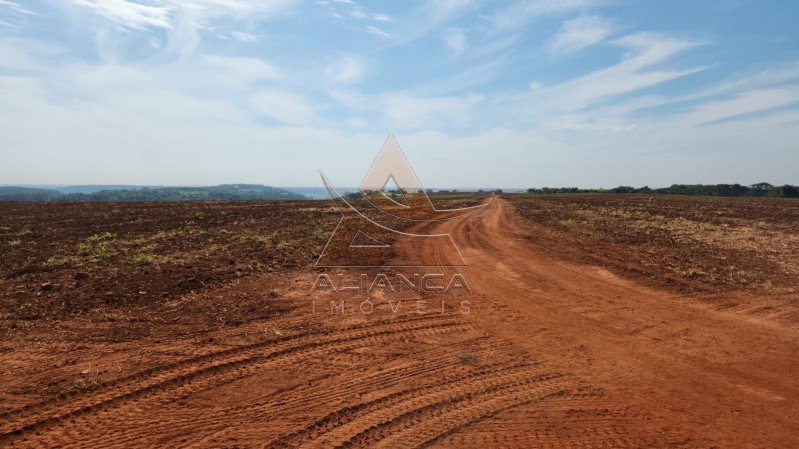 Aliança Imóveis - Imobiliária em Ribeirão Preto - SP - Fazenda  - Zona Rural - Araraquara