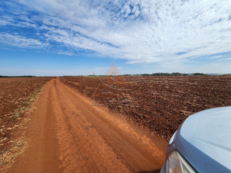 Aliança Imóveis - Imobiliária em Ribeirão Preto - SP - Fazenda  - Zona Rural - Araraquara