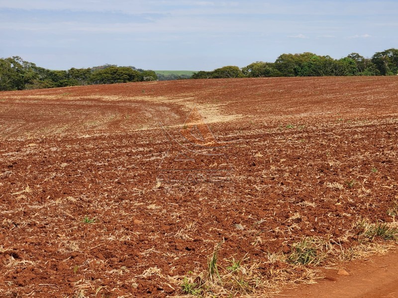 Aliança Imóveis - Imobiliária em Ribeirão Preto - SP - Fazenda  - Zona Rural - Araraquara