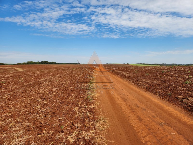 Aliança Imóveis - Imobiliária em Ribeirão Preto - SP - Fazenda  - Zona Rural - Araraquara