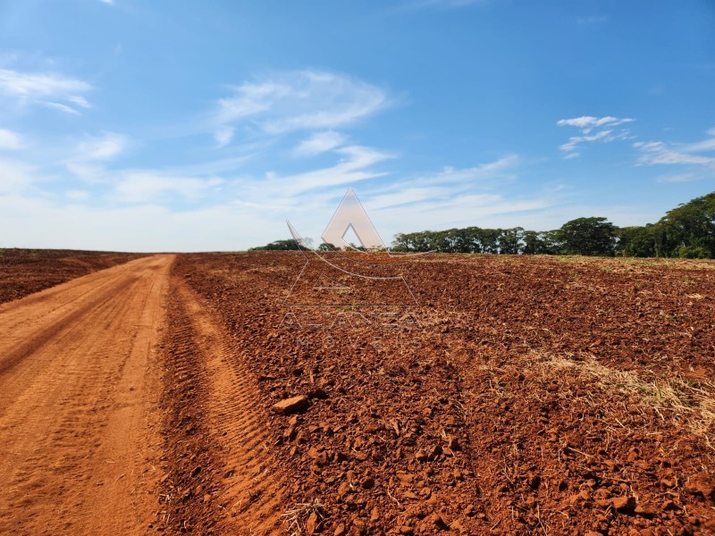Aliança Imóveis - Imobiliária em Ribeirão Preto - SP - Fazenda  - Zona Rural - Araraquara