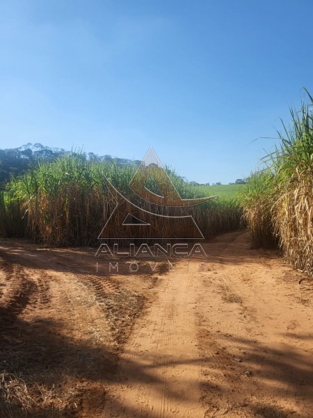 Aliança Imóveis - Imobiliária em Ribeirão Preto - SP - Fazenda  - Zona Rural - Araraquara