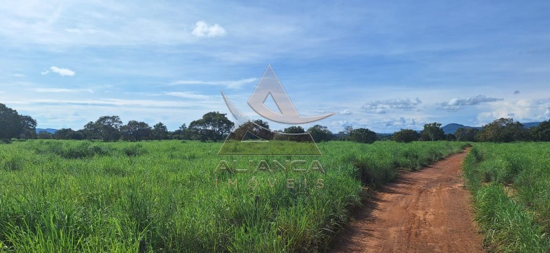 Aliança Imóveis - Imobiliária em Ribeirão Preto - SP - Fazenda  - Zona Rural - Pugmil