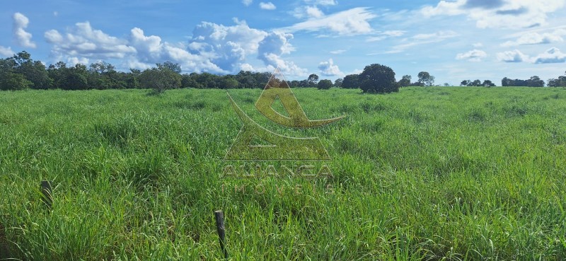 Aliança Imóveis - Imobiliária em Ribeirão Preto - SP - Fazenda  - Zona Rural - Pugmil
