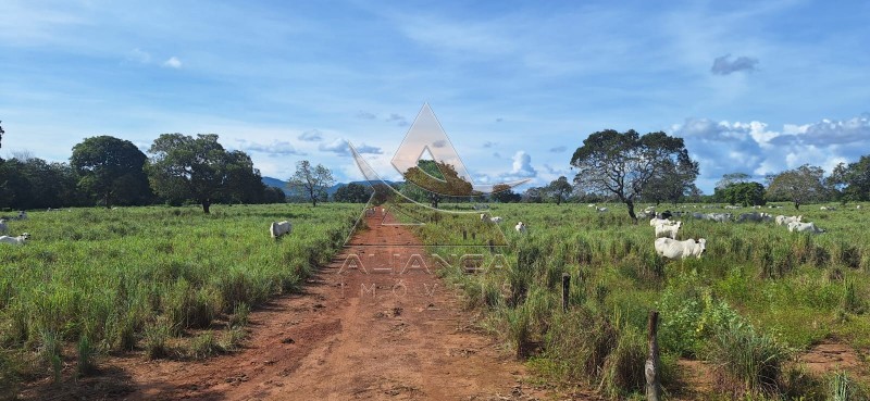 Aliança Imóveis - Imobiliária em Ribeirão Preto - SP - Fazenda  - Zona Rural - Pugmil