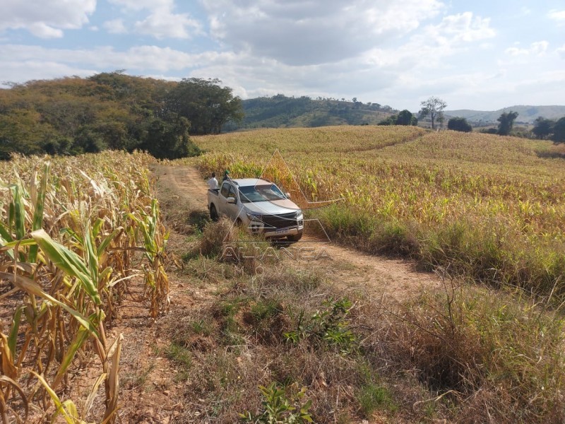 Aliança Imóveis - Imobiliária em Ribeirão Preto - SP - Fazenda  - Zona Rural - Passos