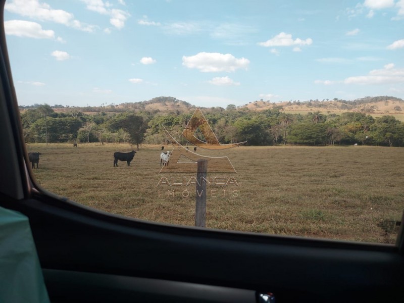Aliança Imóveis - Imobiliária em Ribeirão Preto - SP - Fazenda  - Zona Rural - Passos