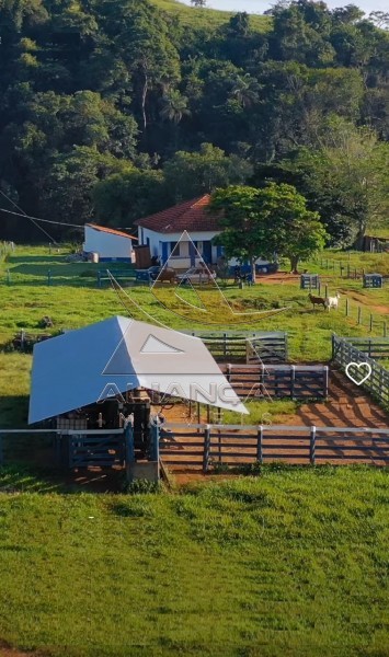 Aliança Imóveis - Imobiliária em Ribeirão Preto - SP - Fazenda  - Zona Rural - Passos