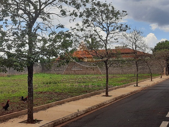 Aliança Imóveis - Imobiliária em Ribeirão Preto - SP - Terreno Condomínio - Brodowski - Brodowski